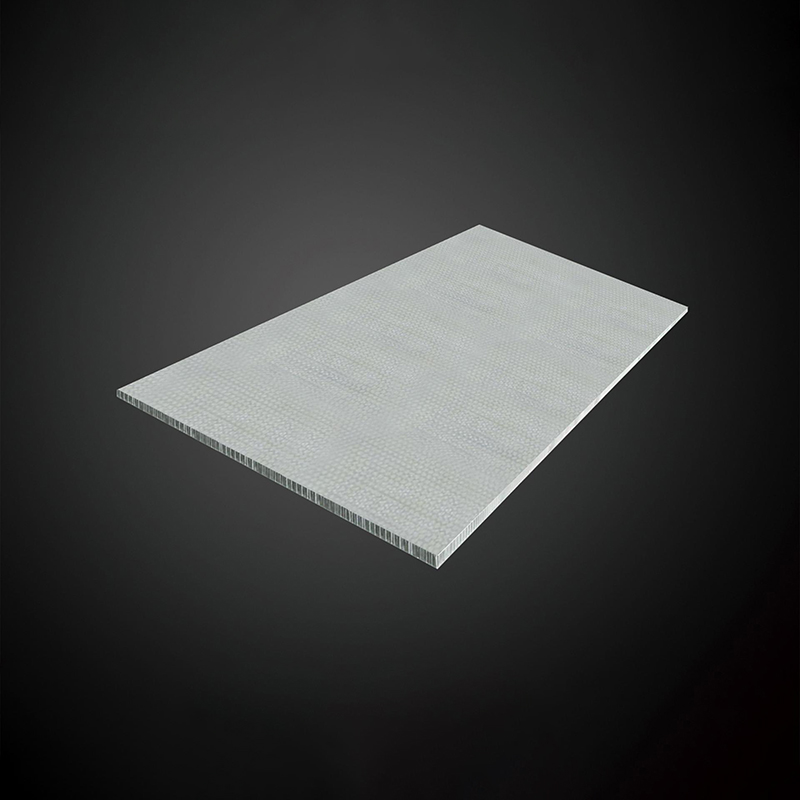 OEM High Quality Plastic Flooring Product - Flame retardant Aluminum honeycomb sandwich panel – Times Industry